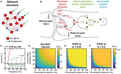 Online Learning and Memory of Neural Trajectory Replays for Prefrontal Persistent and Dynamic Representations in the Irregular Asynchronous State